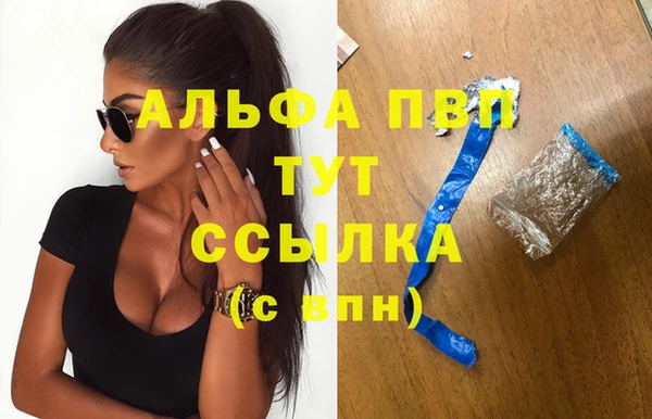 спиды Беломорск